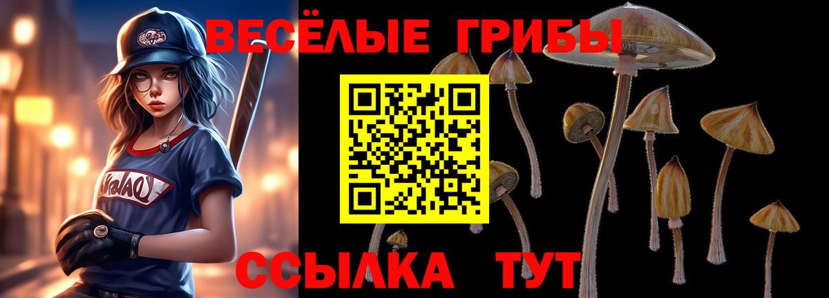 Псилоцибиновые грибы MAGIC MUSHROOMS  Вход с VPN  Тайшет 
